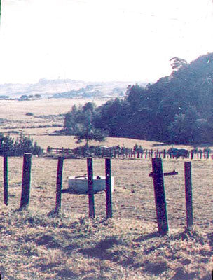 Country Landscape (3.5m x 5m) [n   lp]