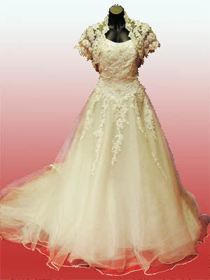 2pc Tulle and Beaded Dress and Bolero Jacket. #45320092 size 14