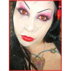 Contact Lenses