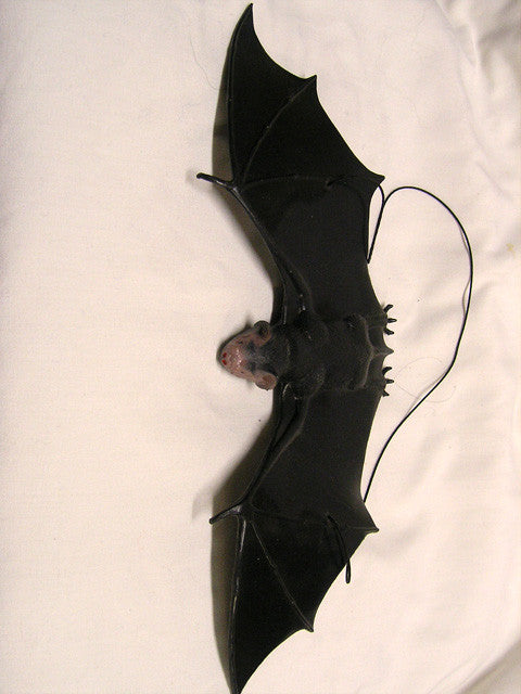 Bat
