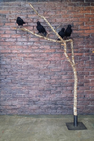 Branch & Stand for the Four Black Crows (crows hired separately)
