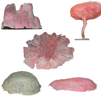 Coral Large (L50cm x H30cm x W40 cm)