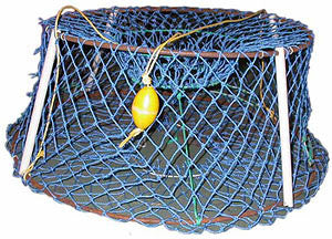 Cray Pot Modern Net