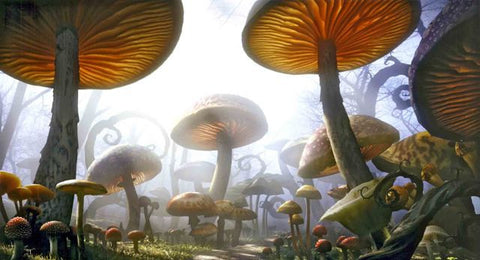 Fairytale Backdrop Toadstools (4m x 2.5m)